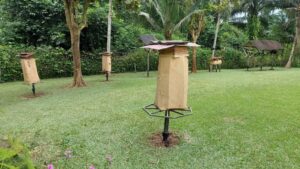 international stingless bee centre