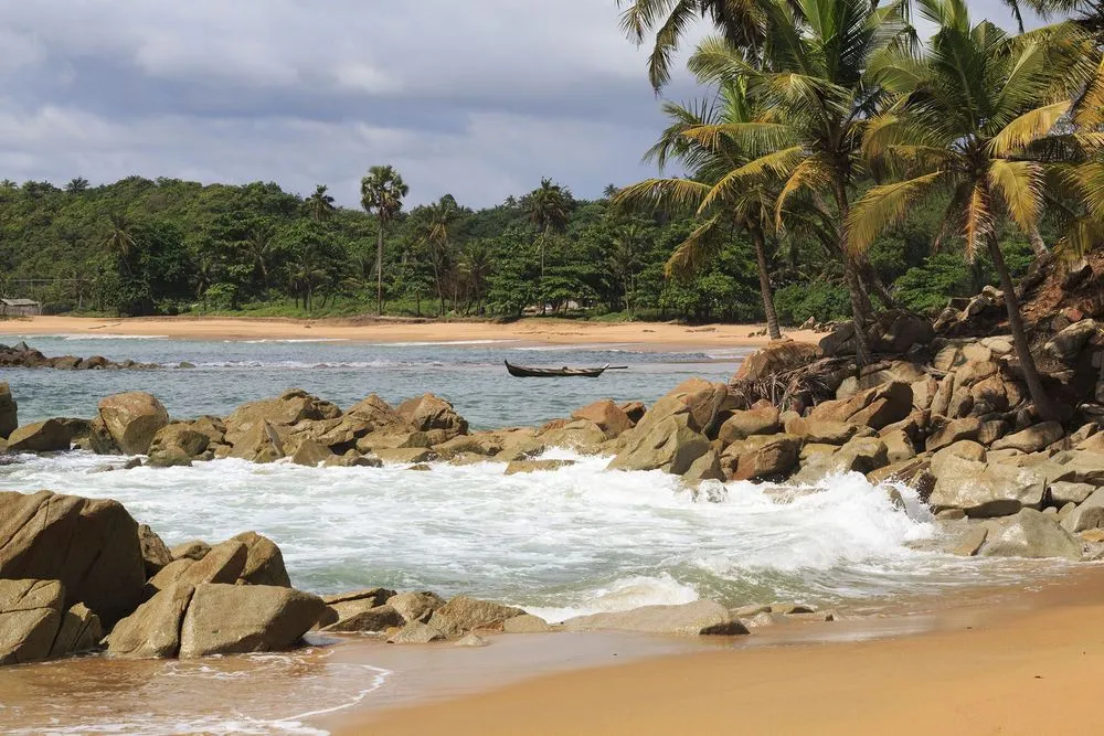 Palm-fringed Atlantic coastal scenery